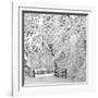 Winter Wonderland-Incredi-Framed Photographic Print