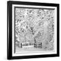 Winter Wonderland-Incredi-Framed Photographic Print