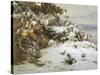 Winter Wonderland-Theud Gronland-Stretched Canvas