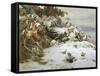 Winter Wonderland-Theud Gronland-Framed Stretched Canvas