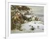 Winter Wonderland-Theud Gronland-Framed Giclee Print