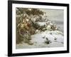 Winter Wonderland-Theud Gronland-Framed Giclee Print