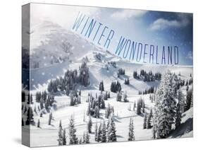 Winter Wonderland-Kimberly Glover-Stretched Canvas