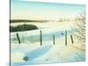 Winter Wonderland-Kevin Dodds-Stretched Canvas