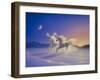 Winter Wonderland-Kirk Reinert-Framed Giclee Print