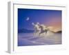 Winter Wonderland-Kirk Reinert-Framed Giclee Print