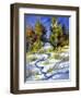 Winter Wood Cloudy Day-balaikin2009-Framed Art Print