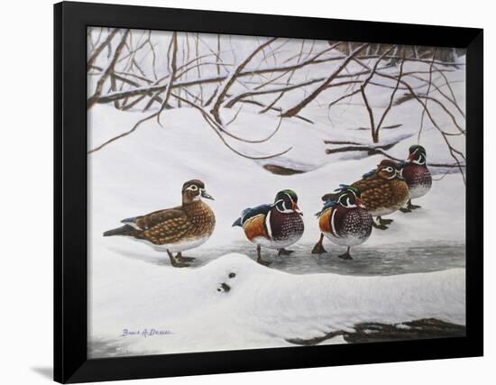 Winter Wood Ducks-Bruce Dumas-Framed Giclee Print