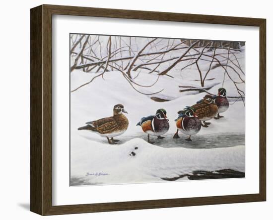 Winter Wood Ducks-Bruce Dumas-Framed Giclee Print