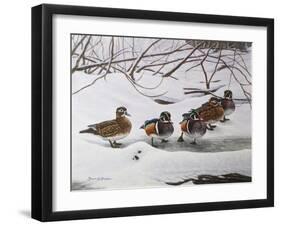 Winter Wood Ducks-Bruce Dumas-Framed Giclee Print