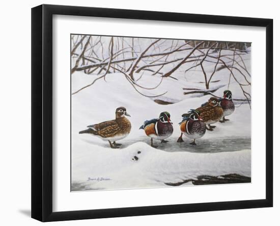 Winter Wood Ducks-Bruce Dumas-Framed Giclee Print