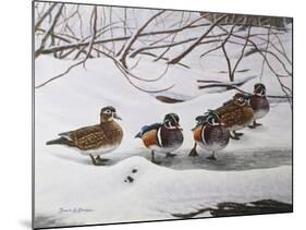 Winter Wood Ducks-Bruce Dumas-Mounted Giclee Print