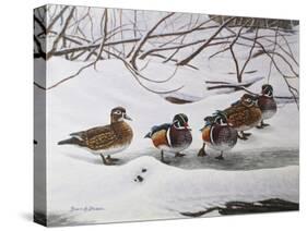 Winter Wood Ducks-Bruce Dumas-Stretched Canvas