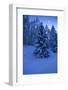 Winter Wood, with Crescent-Ludwig Mallaun-Framed Photographic Print