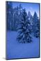 Winter Wood, with Crescent-Ludwig Mallaun-Mounted Photographic Print