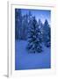 Winter Wood, with Crescent-Ludwig Mallaun-Framed Photographic Print