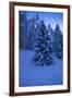 Winter Wood, with Crescent-Ludwig Mallaun-Framed Photographic Print