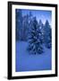 Winter Wood, with Crescent-Ludwig Mallaun-Framed Photographic Print