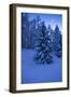 Winter Wood, with Crescent-Ludwig Mallaun-Framed Photographic Print