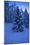 Winter Wood, with Crescent-Ludwig Mallaun-Mounted Photographic Print