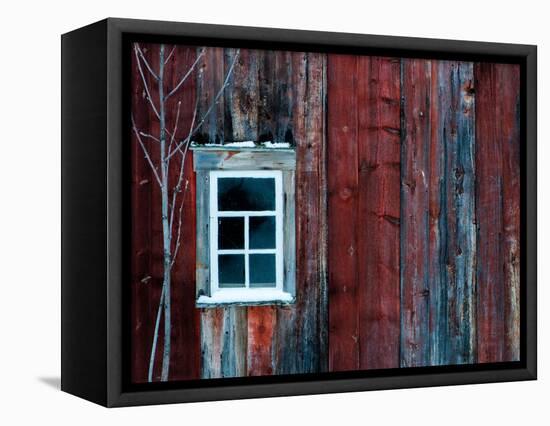 Winter Wood-Doug Chinnery-Framed Stretched Canvas
