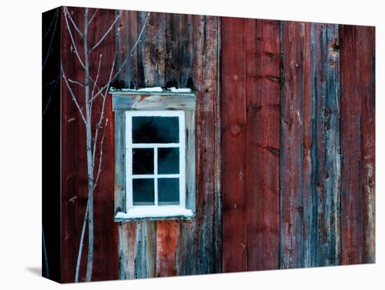 Winter Wood-Doug Chinnery-Stretched Canvas