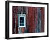 Winter Wood-Doug Chinnery-Framed Premium Photographic Print
