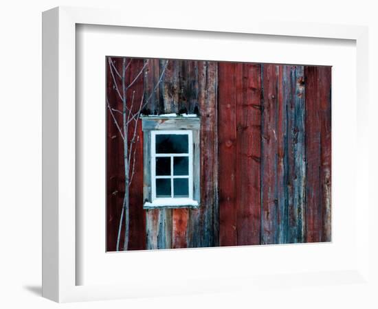 Winter Wood-Doug Chinnery-Framed Photographic Print