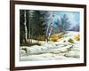 Winter Wood-balaikin2009-Framed Art Print