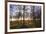 Winter woodland backlit by the late afternoon sun, Longhoughton-Lee Frost-Framed Photographic Print