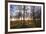Winter woodland backlit by the late afternoon sun, Longhoughton-Lee Frost-Framed Photographic Print
