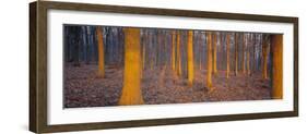 Winter Woodland, England, UK, Europe-John Miller-Framed Photographic Print
