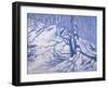 Winter Woodland, Near Courcheval, 2008-Andrew Macara-Framed Giclee Print