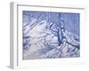 Winter Woodland, Near Courcheval, 2008-Andrew Macara-Framed Giclee Print