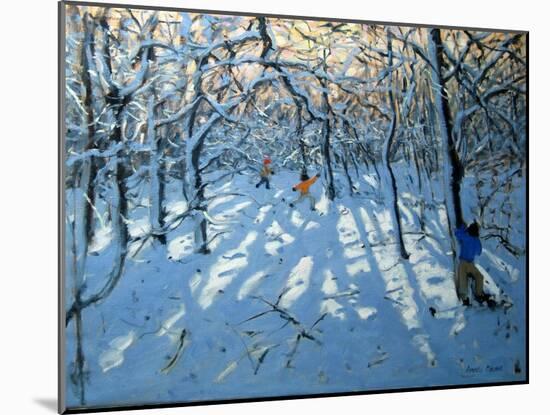 Winter Woodland, Near Newhaven, Derbyshire-Andrew Macara-Mounted Giclee Print