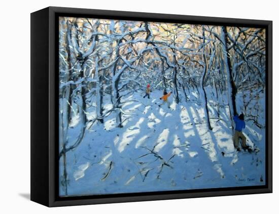 Winter Woodland, Near Newhaven, Derbyshire-Andrew Macara-Framed Stretched Canvas