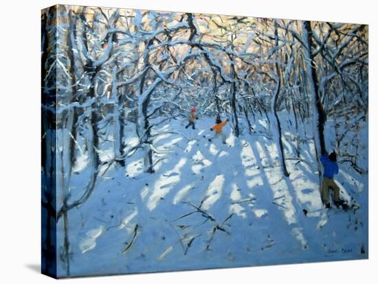 Winter Woodland, Near Newhaven, Derbyshire-Andrew Macara-Stretched Canvas