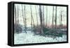 Winter Woodland Scene-Sharon Wish-Framed Stretched Canvas