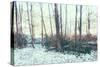 Winter Woodland Scene-Sharon Wish-Stretched Canvas