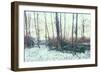 Winter Woodland Scene-Sharon Wish-Framed Photographic Print