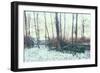 Winter Woodland Scene-Sharon Wish-Framed Photographic Print