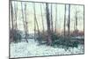 Winter Woodland Scene-Sharon Wish-Mounted Photographic Print