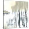 Winter Woods I-Cathe Hendrick-Stretched Canvas