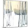 Winter Woods II-Cathe Hendrick-Mounted Giclee Print