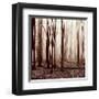 Winter Woods-Erin Clark-Framed Giclee Print