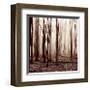 Winter Woods-Erin Clark-Framed Giclee Print