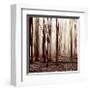 Winter Woods-Erin Clark-Framed Giclee Print