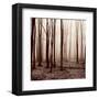 Winter Woods-Erin Clark-Framed Art Print