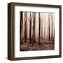 Winter Woods-Erin Clark-Framed Art Print