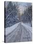 Winter Woods-Bruce Dumas-Stretched Canvas